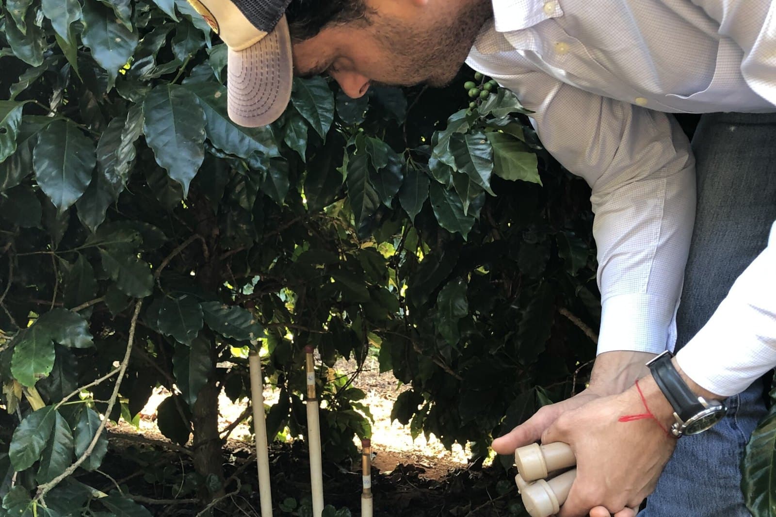 Asistencia técnica